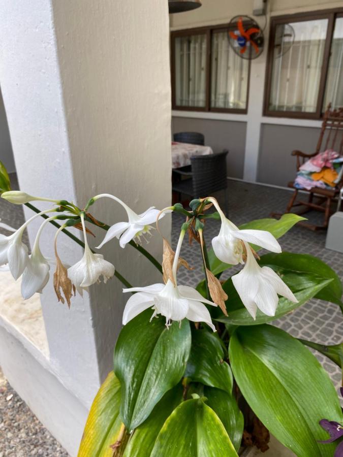 Gardenia Apartments بيريبير المظهر الخارجي الصورة